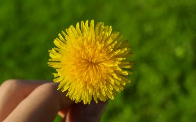Fluid Retention – Help is at hand