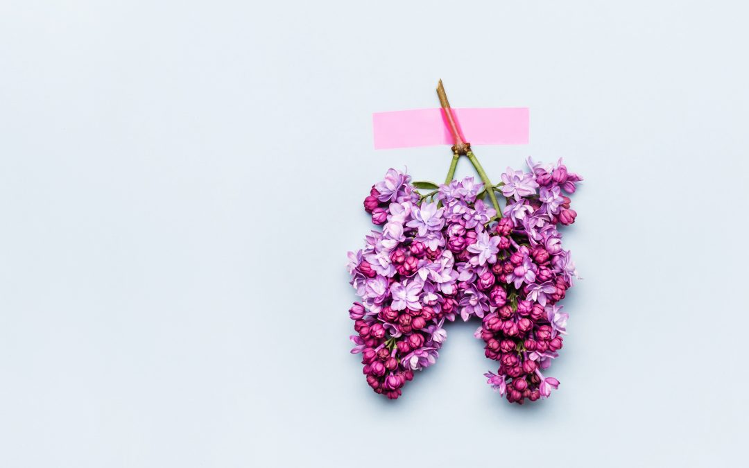 Respiratory Issues – What can herbs do?
