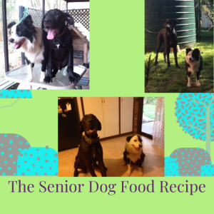 Senior Dog Food Recipe